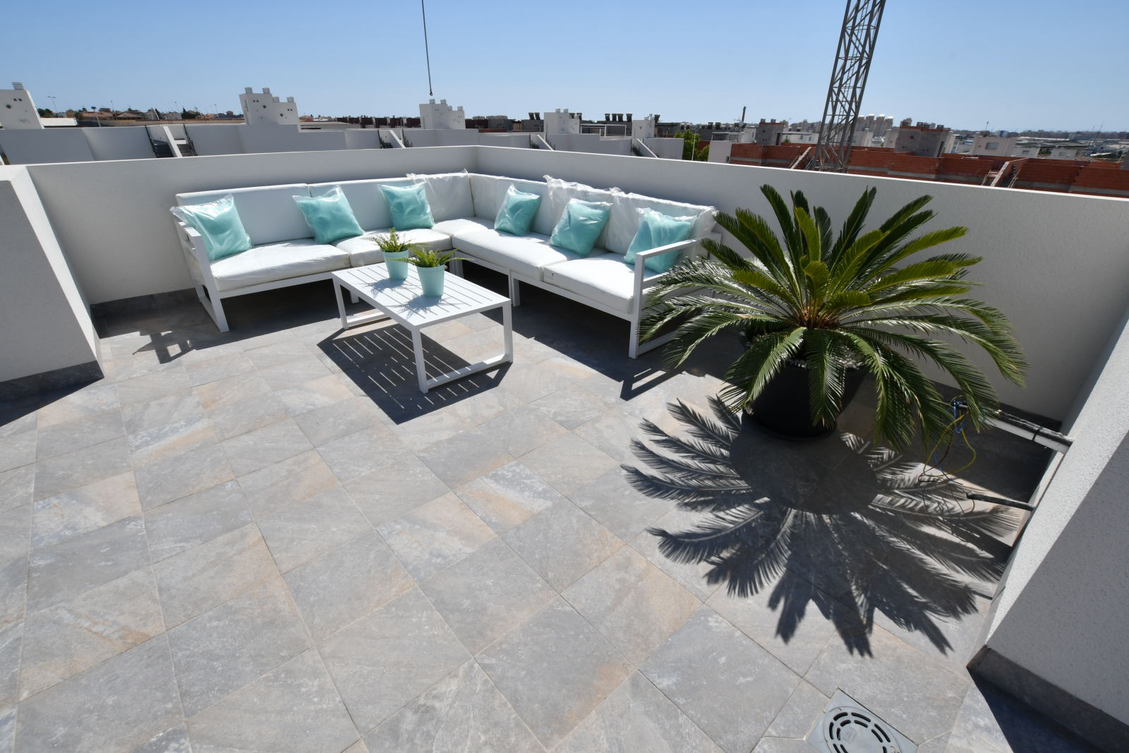 Solarium lounge with palm