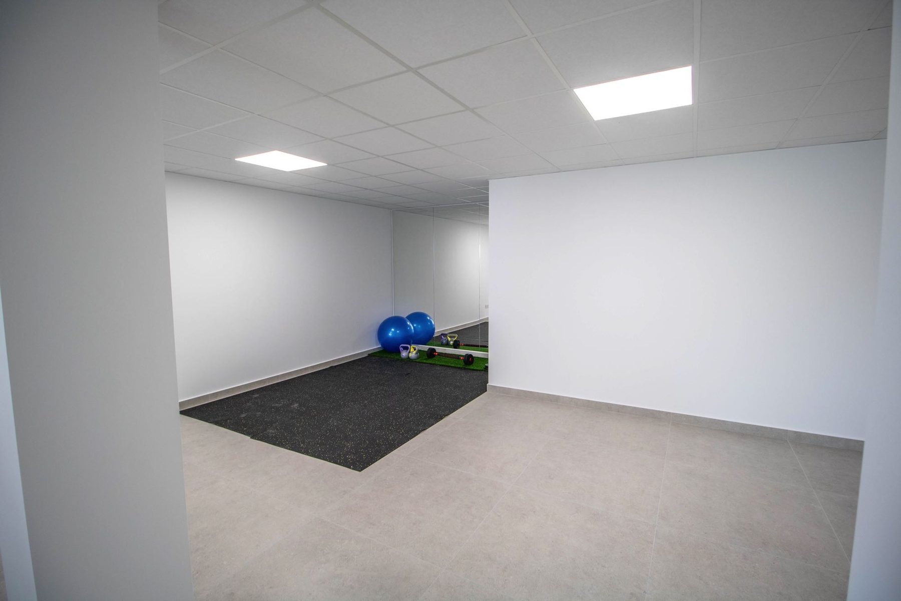 Basement multipurpose room